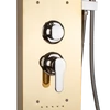Obraz 4/4 -Gold panel prysznicowy, stal nierdzewna